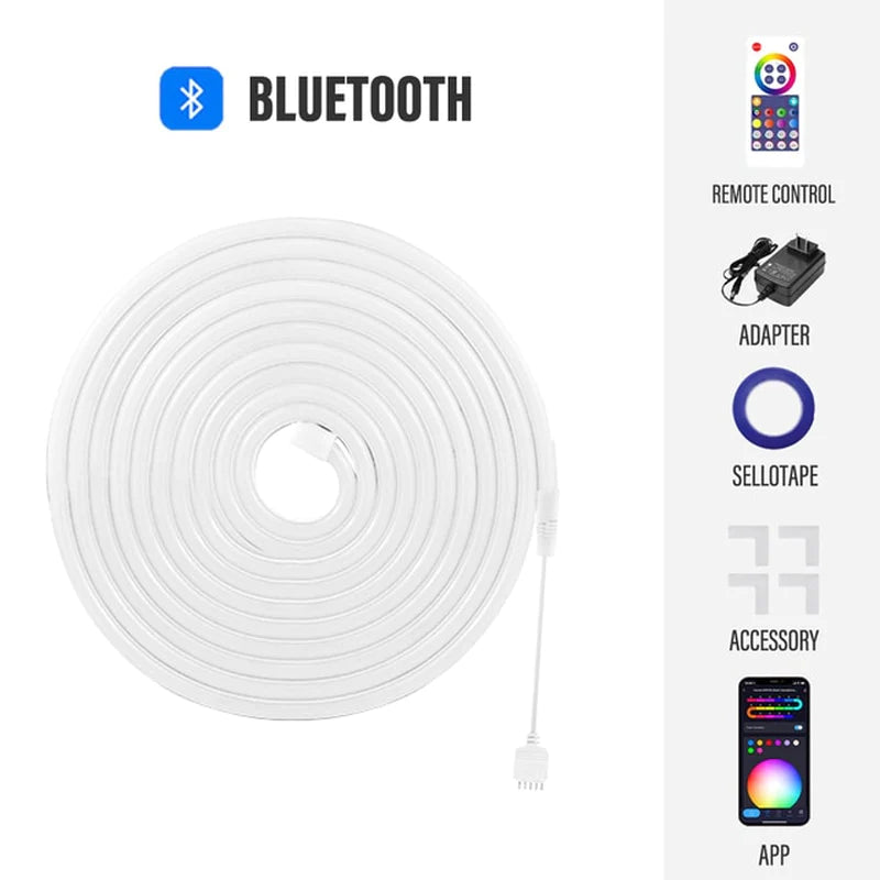 Néon LED Connecté RGBIC – Contrôle Wi-Fi & Musique